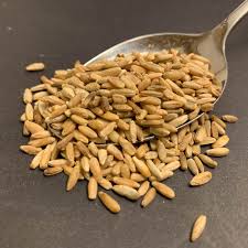 RYE GRAIN 20KG BAG