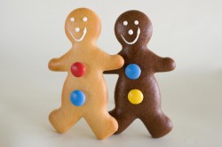 GINGERBREAD MEN (18 PLAIN & 6 CHOCOLATE) CHRISTEN'S 24 x 40gm W8095