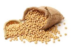SOY BEANS 25KG  PB AGRIFOOD